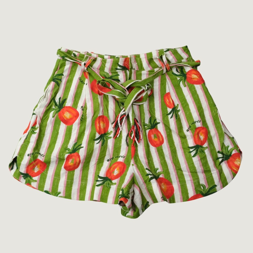 Farm Rio Anthropologie Pineapple Striped Shorts XS Green Pink Tropical Boho